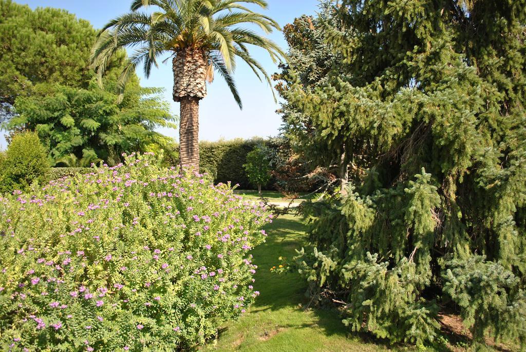 Chic & Country Bed & Breakfast Lecce Dış mekan fotoğraf